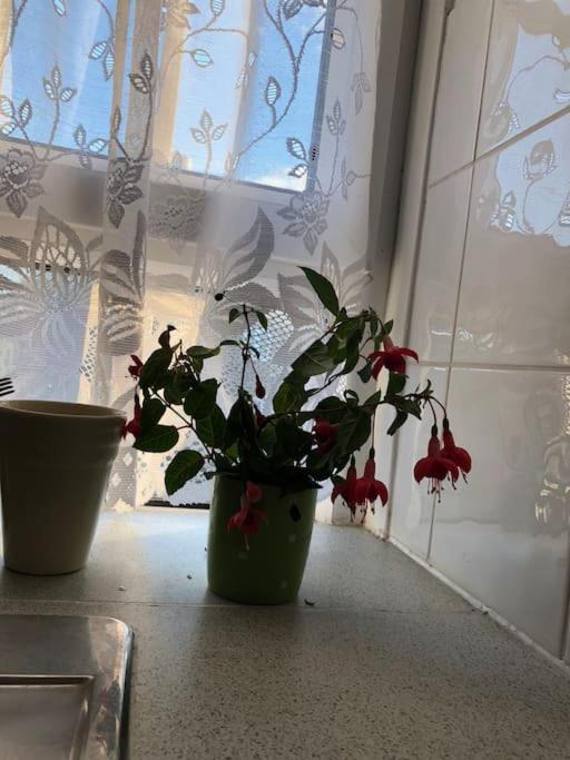 Carpe Diem Rooms Flat Near Zone 1 Лондон Экстерьер фото